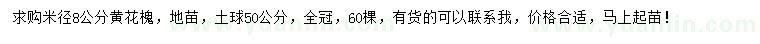 求購(gòu)米徑8公分黃花槐