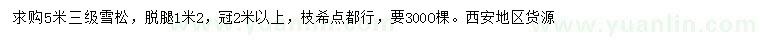 求購5米雪松