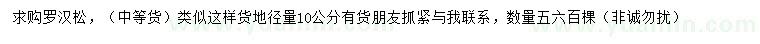 求購地徑10公分羅漢松