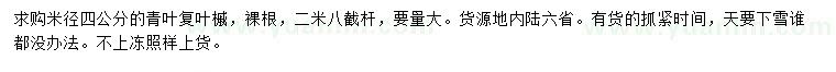 求購米徑4公分青葉復(fù)葉槭