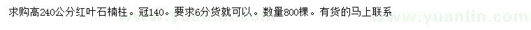 求購高240公分紅葉石楠柱