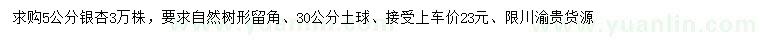 求購5公分銀杏