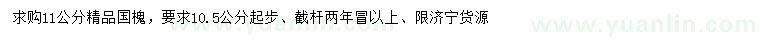 求購11公分精品國槐