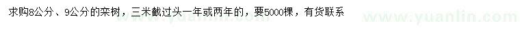求購8、9公分欒樹