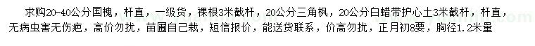 求購國槐、白蠟、三角楓