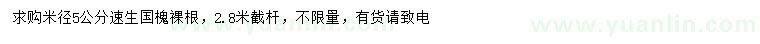 求購米徑5公分速生國槐
