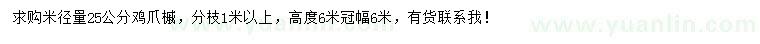 求購米徑25公分雞爪槭