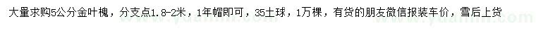 求購5公分金葉槐