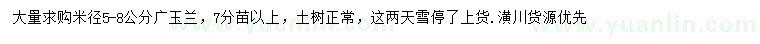 求購米徑5-8公分廣玉蘭