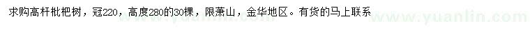 求購高280公分高桿枇杷