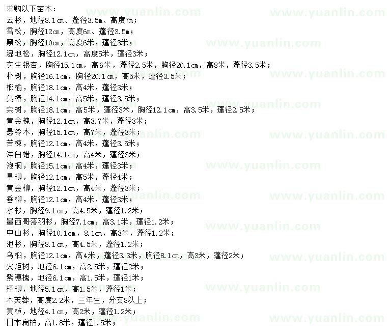 求購(gòu)云杉、雪松、黑松等