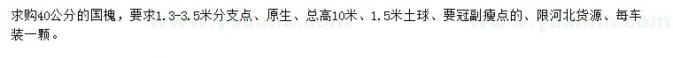 求購40公分國槐