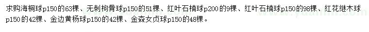 求購海桐球、無刺枸骨球、紅葉石楠球等