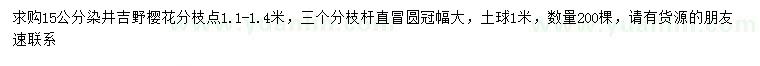 求購(gòu)15公分染井吉野櫻