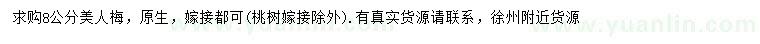 求購8公分美人梅