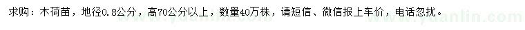 求購地徑0.8公分木荷