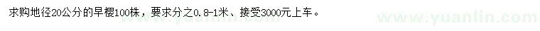 求購(gòu)地徑20公分早櫻