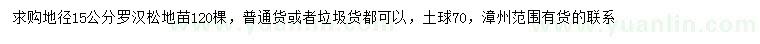 求購地徑15公分羅漢松