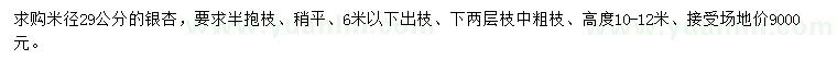 求購米徑29公分銀杏