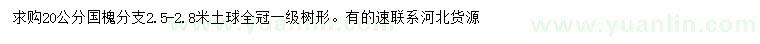 求購20公分國槐