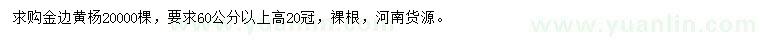 求購(gòu)高60公分以上金邊黃楊