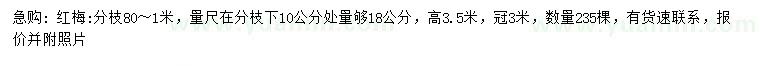求購10公分量足18公分紅梅