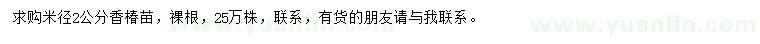 求購(gòu)米徑2公分香椿