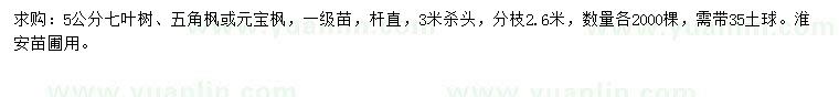 求購(gòu)5公分七葉樹(shù)、五角楓或元寶楓