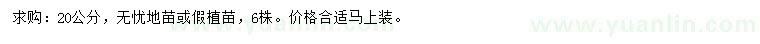 求購20公分無憂地苗或假植苗