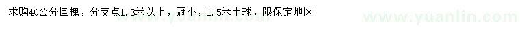 求購40公分國(guó)槐