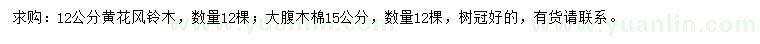 求購12公分黃花風(fēng)鈴木、15公分大腹木棉