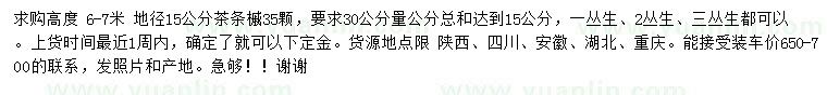 求購高6-7米茶條槭