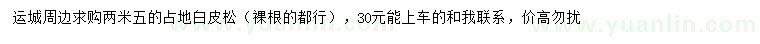 求購2.5米占地白皮松
