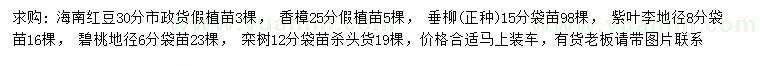 求購海南紅豆、香樟、垂柳等