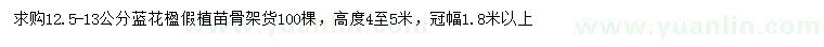 求購12.5-13公分藍花楹