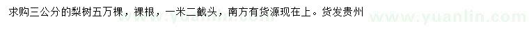 求購3公分梨樹(shù)