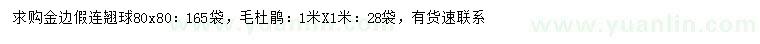 求購金邊假連翹球、毛杜鵑