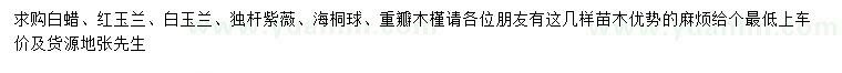 求購白蠟、紅玉蘭、白玉蘭等