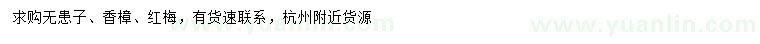 求購無(wú)患子、香樟、紅梅