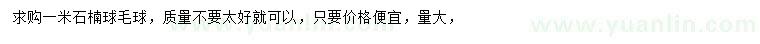 求購1米石楠球毛球