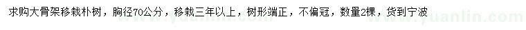 求購胸徑70公分樸樹(shù)