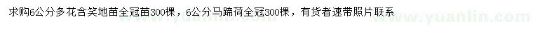 求購6公分多花含笑、6公分馬蹄荷