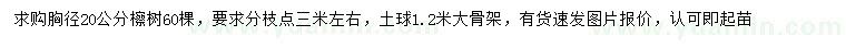 求購胸徑20公分檫樹