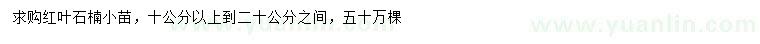 求購(gòu)10-20公分紅葉石楠
