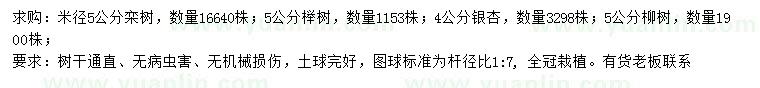 求購(gòu)欒樹、櫸樹、銀杏等