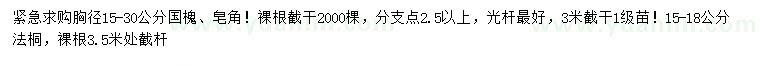 求購國槐、皂角、法桐