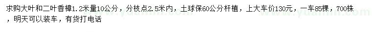 求購1.2米量10公分大葉和二葉香樟