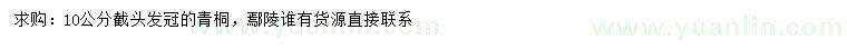 求購10公分青桐