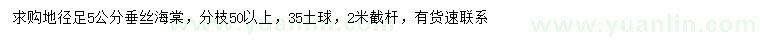 求購地徑足5公分垂絲海棠
