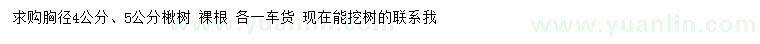 求購胸徑4、5公分楸樹(shù)